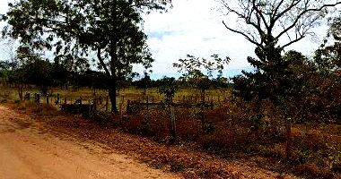 Frações Ideais de Fazenda com 147 hectares em Poconé/MT