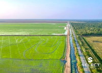 Fazenda São Judas: Imóvel Rural com 1002 hectares em Miranda/MS