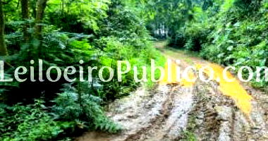 Terreno Rural 35732 m² em Rebouças, imóvel ocupado