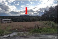Terreno rural com 391.194,53 m² e reflorestamento de Pinus e Eucalipto