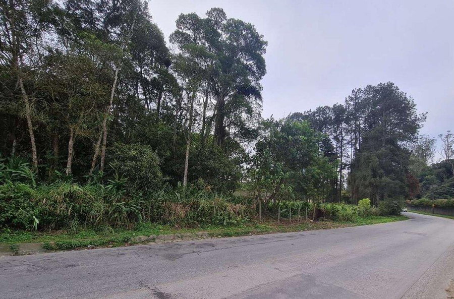 Terreno de 10.081 m² com construção em concreto armado, em zona urbana mista