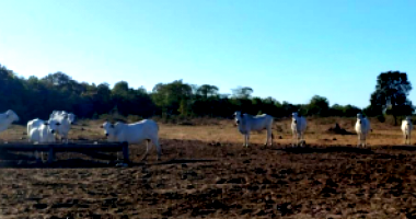 Fazenda com 3.921,16 hectares em Cocalinho/MT