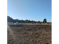 Fazenda com 3.921,16 hectares em Cocalinho/MT