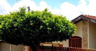 Terreno com 315,75m² em Vargem Grande do Sul/SP