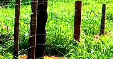 Imóvel Rural com 24,9847 HA em Apiacás/MT