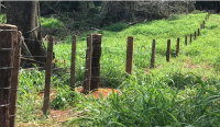 Imóvel Rural com 24,9847 HA em Apiacás/MT