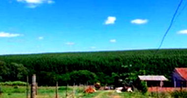 Terreno Urbano com 7.900m² em Mariluz/PR