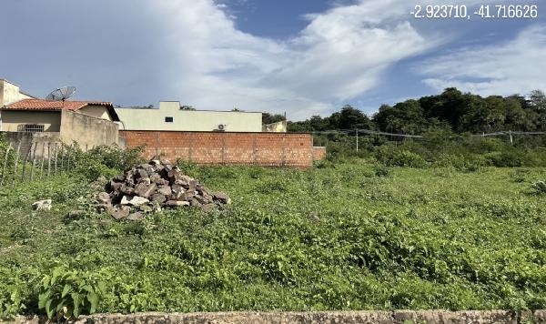 Terreno em Parnaíba/PI - Lote 19, Qd 113