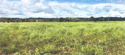 Lote Rural com 85,35ha, área ideal para pecuária, imóvel ocupado