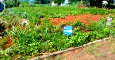 Terreno Urbano com 450m² em Derrubadas - RS