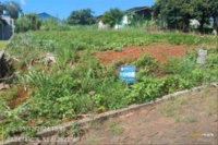 Terreno Urbano com 450m² em Derrubadas - RS