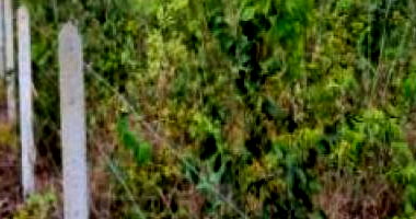 Terreno em Chapada dos Guimarães - 1688.31 m²