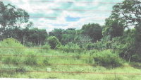 Terreno urbano 347,85m² sem benfeitoria em Maximiliano de Almeida/RS