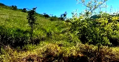 Terreno com 851m² em leilão no Centro de Itamonte/MG