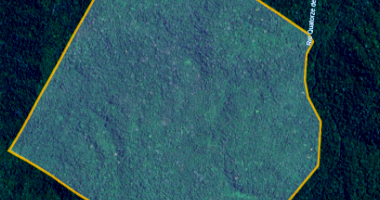 Fazenda com 401,74 hectares em Espigão D’Oeste/RO