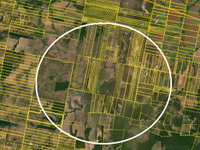 Fazenda Santa Luzia com 387,32 hectares e infraestrutura completa