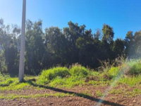 Terreno 342m² em Cordilheira Alta/SC -