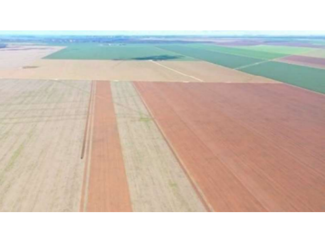 Fazenda Coligação - 535,78 hectares em Dianópolis/TO