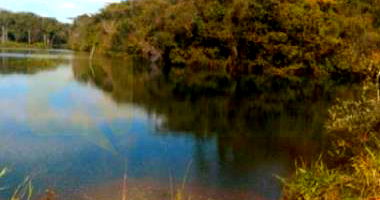 Fazenda rural com 447,86 hectares, área total ampla e livre