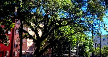 Apartamento com 2 quartos em Porto Alegre