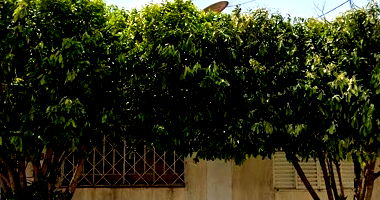 Terreno com Edificação em Capivari/SP