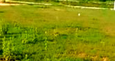 Terreno amplo com 2.144 m² em loteamento residencial, ocupado