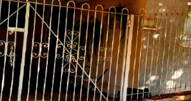 Casa Ocupada com 3 Quartos e 2 Banheiros em Presidente Venceslau