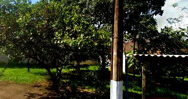 Sobrado amplo com 662,85m² e terreno de 1.167,50m² em Ribeirão Preto