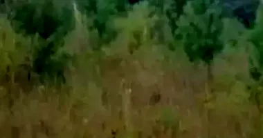 Terreno em leilão com 711,89m² em Linha Brasil, Nova Petrópolis/RS