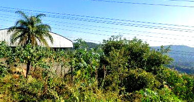 Apartamento de 79m² com 2 vagas de garagem