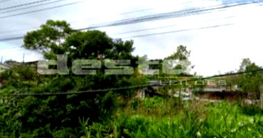 Terreno em Ribeirão Pires/SP - Oportunidade Única
