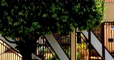 Casa Ocupada com Ação Judicial em Cuiabá