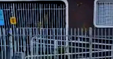 Casa Residencial Desocupada em Leilão Judicial