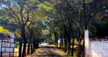 Sítio Rural Desocupado com 3,78ha em Zona Rural