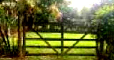 Casa em Condomínio com 2 Quartos e 3 Banheiros em Promissão/SP