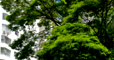 Apartamento com 4 Quartos em São Paulo