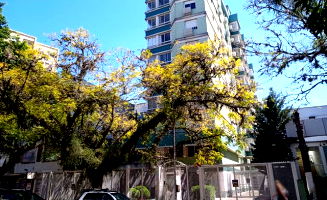 Loja com 251,83m² no Edifício Marseille - Bairro Rio Branco