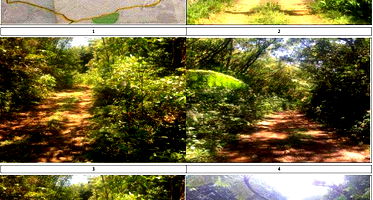 Imóvel Rural com 1.112,67 Hectares em Bananal/SP