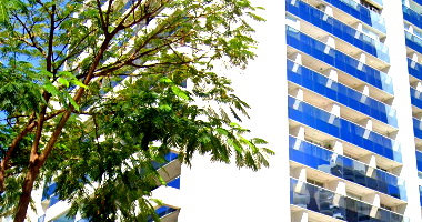 Escritório em Guarulhos com 36,452 m²