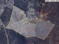 Sítio com 50 Hectares em Boa Nova/BA