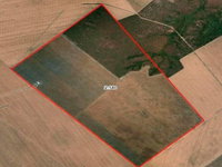 Fazenda Lírios dos Campos com 555 ha -