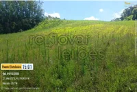 Terreno Rural com 12,146 ha em Trombudo Central