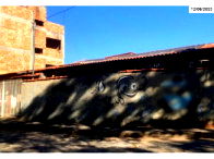 Escola de Natação com Piscina Aquecida em Três Corações/MG