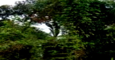 Terreno Amplo em Joinville com 1.496,21m²