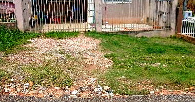 Casa com 2 Quartos e Área Privativa em Ponta Grossa