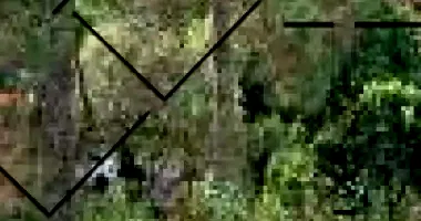 Terreno em Santa Cruz do Sul com 1043,71m²