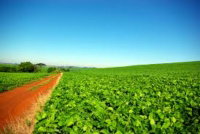 Terreno Rural com 6.676.677,78 m² em Mirim Doce/SC