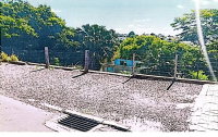 Terreno urbano 675m² em São João/PR -