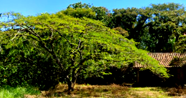 Terreno com 864,85m² em Imbituba/SC