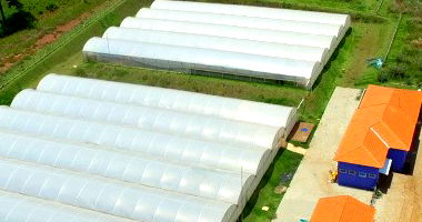 Área Rural com Edificações e Frigorífico - 13,28 ha